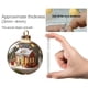 thumbnail image 3 of Rapeiae Natural Wonders Series Christmas Ball Flat Acrylic Pendant, 3 of 5