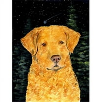 Starry Night Chesapeake Bay Retriever Flag - Garden Size, 11 x 15 in.