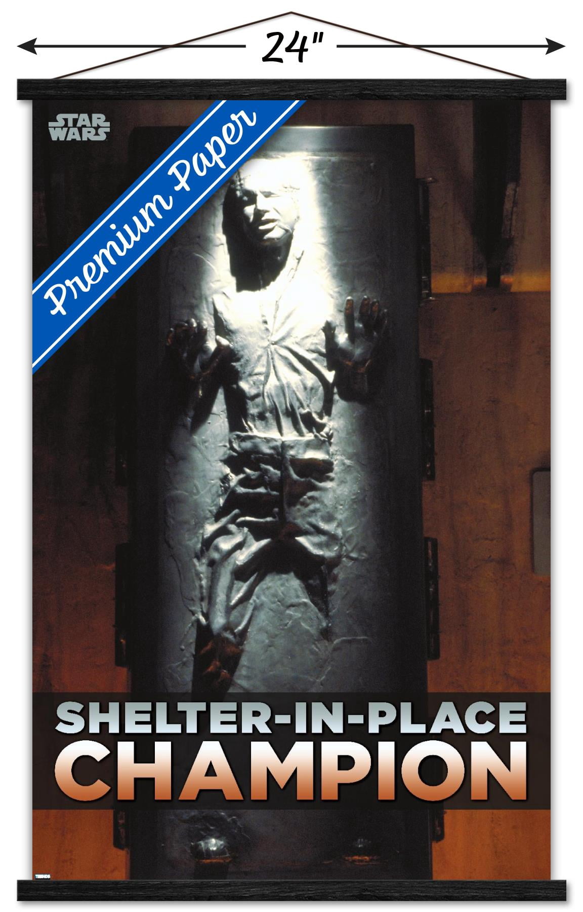 Star Wars: Saga - Han Solo - Shelter In Place Wall Poster with Wooden Magnetic Frame, 22.375" x 34"