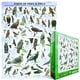 Eurographics  - Birds of Prey & Owls, 1000 PC Puzzle – image 3 sur 4