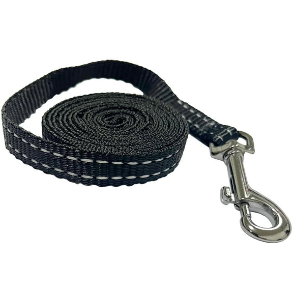 Dog Leash 1/2" Wide Nylon 5ft Length with Leather Enforced Snap Black Small