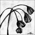 thumbnail image 3 of Unknown 12x12 Black Modern Framed Museum Art Print Titled - Mini Swooning Tulips I, 3 of 5