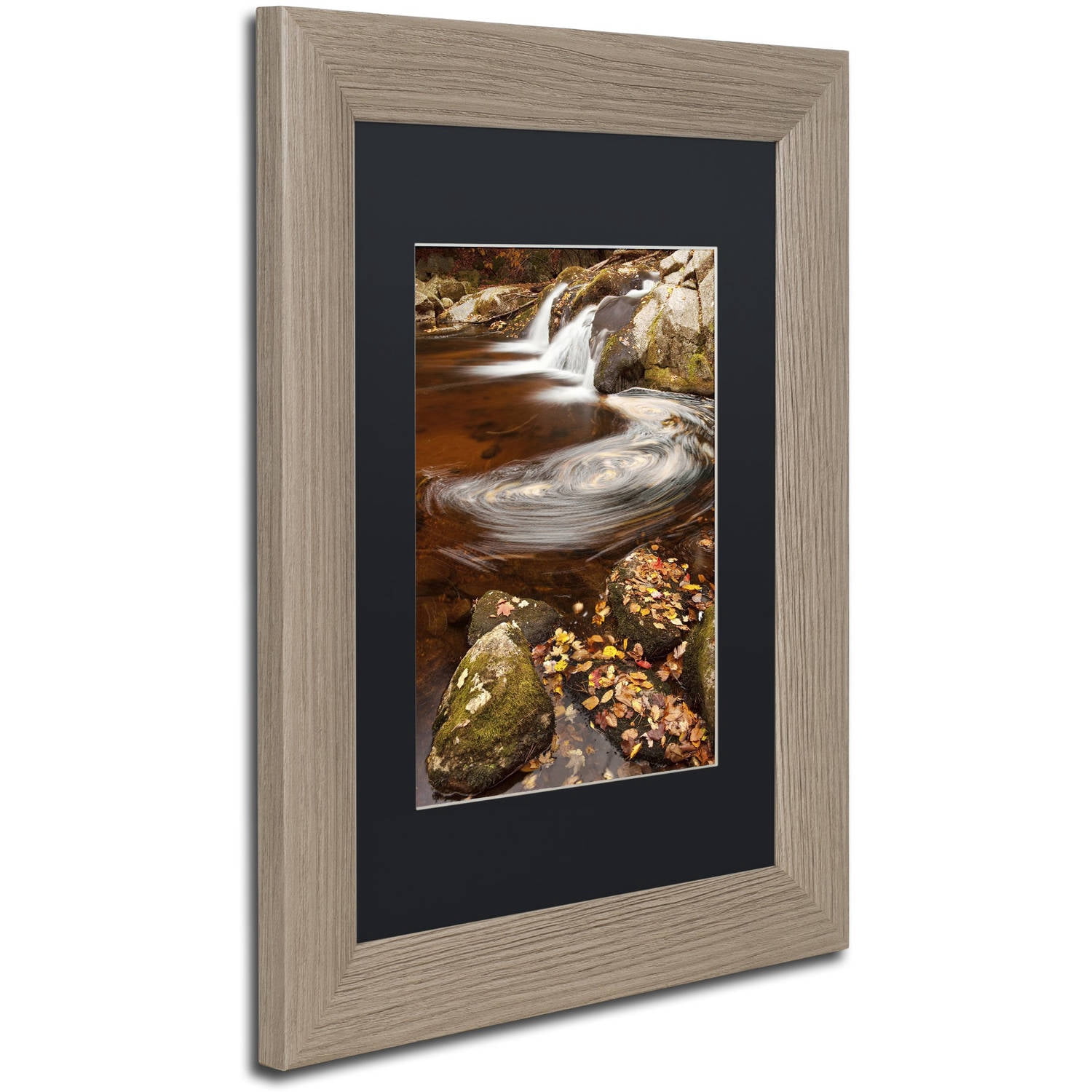 Trademark Fine Art "Autumn Swirly" Canvas Art by Michael Blanchette Photography Black Matte, Birch Frame