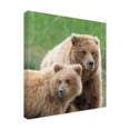 thumbnail image 2 of Trademark Fine Art Animals Canvas Art ' Bear Life Iii ' by PHBurchett, 2 of 3