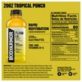 thumbnail image 5 of BODYARMOR Flash I.V. Tropical Punch Electrolyte Sports Drink, 20 fl oz, 12 Pack Bottles, 5 of 5