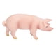 thumbnail image 2 of Simulation Farm Pig Animals Model Figures Toy Set Preschool Educational Learn Cognitive Toys4pcs, 2 of 4