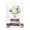 Paris Blooms Bookstack, variant on Stupell Industries Farmhouse White Florals on Bookstack Canvas Art, 16 x 20, by Ziwei Li