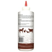 Harris Diatomaceous Earth Food Grade, Feed Supplement, 8oz. Bottle with Applicator Tip
