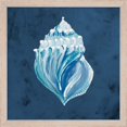 thumbnail image 2 of Great Art Now Azul Dotted Seashell on Navy by Gina Ritter, 2 Piece Framed Art Set Each 13"W x 13"H, 2 of 4