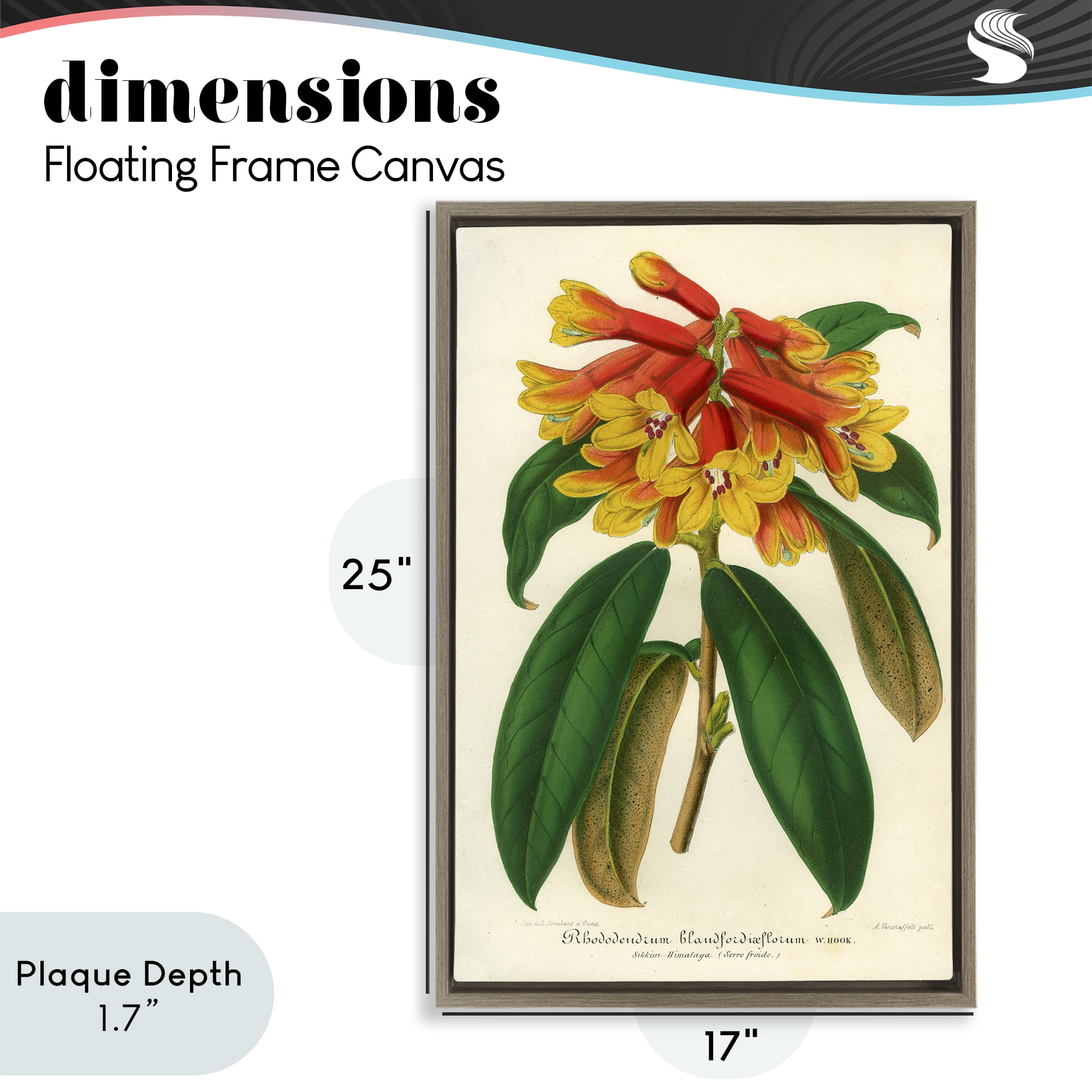 Stupell Industries Orange Yellow Rhododendron Brown Framed Floater Canvas Wall Art, design by Print Collection