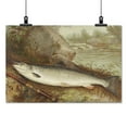 thumbnail image 2 of Print: Fish, 2 of 4