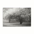thumbnail image 2 of Gango Home Decor Autumn Japanese Maple B&W by Vitaly Geyman (Printed on Paper); One 36x24in Fine Art Paper Giclee Print, 2 of 4