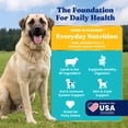 thumbnail image 3 of Solid Gold Hund-N-Flocken Dog Food, Lamb 4lb, 3 of 12