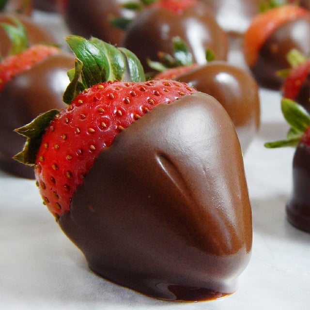 チョコレートウォーマー(マルテラート) マルテラート ミニチョコウォーマー グレー MC09G バレンタイン