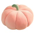 thumbnail image 1 of EIMELI 3D Simulated Plush Pumpkin Pillow 13 Inch Halloween Children Gift  White, 1 of 7