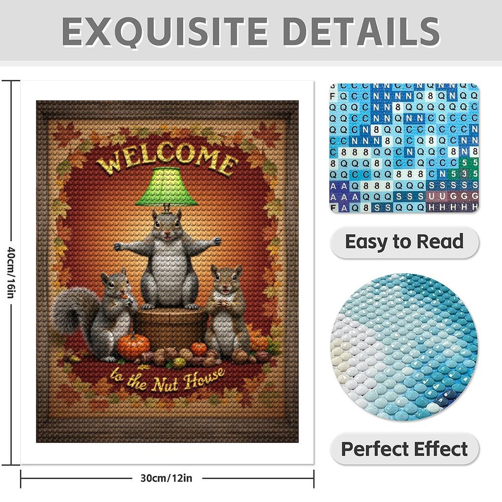 Diamond Art Kit for Adults, Squirrels Autumn Welcome Gathering Diamond Painting for Adults Beginners, 5D DIY Diamond Art Painting Kits, Colorful Diamond Painting Craft for Home Decor 12x16