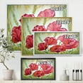 thumbnail image 4 of Designart 'Blossoming Red Poppies In The Morning' Traditional Framed Canvas Wall Art Print, 4 of 5