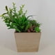 thumbnail image 3 of Maceta Decorativa ZENSE Rosalinda CUADRADA natural, 3 of 3