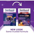 Sambucol Black Elderberry Throat Lozenge With Honey, Vitamin C & Zinc