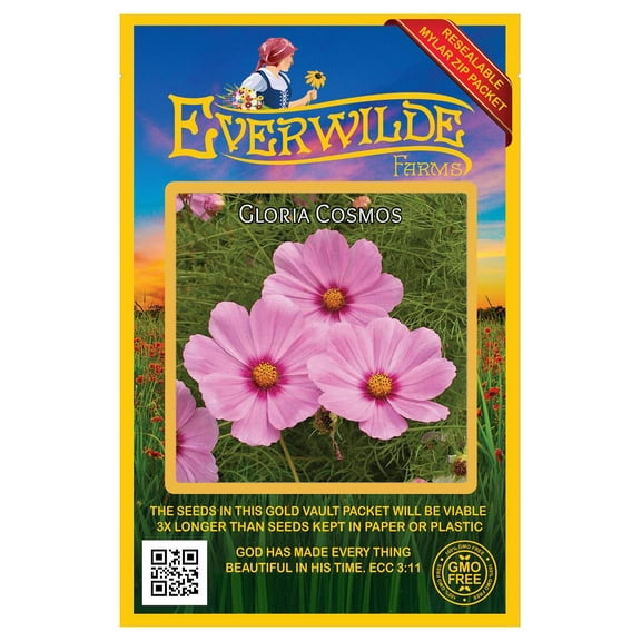 Everwilde Farms - 500 Gloria Cosmos Garden Flower Seeds - Gold Vault Jumbo Bulk Seed Packet