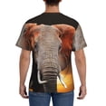 thumbnail image 2 of Rocae Elephant Sunset in Kenya for Men's Moisture-Wicking Crew Tee - T-Shirt for Sports, Outdoor Activities, and Casual Wear3X-Large, 2 of 9
