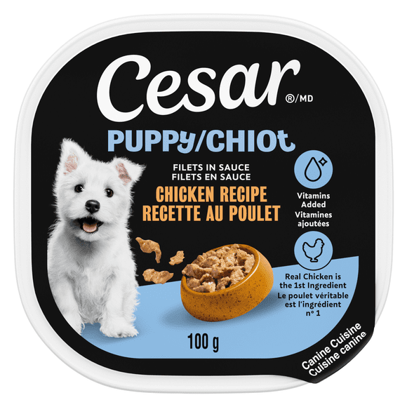 Nourriture humide et moelleuse pour chiots CESAR Filets en sauce Recette au poulet, (24) barquettes de 100 g faciles à ouvrir