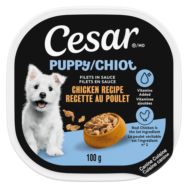 CESAR Puppy Soft Wet Dog Food Filets in Sauce Chicken Recipe 100 g tray featuring real chicken as the first ingredient and added vitamins, with a blue and black label displaying a bowl of soft chicken filets in sauce, suitable for balanced puppy nutrition.