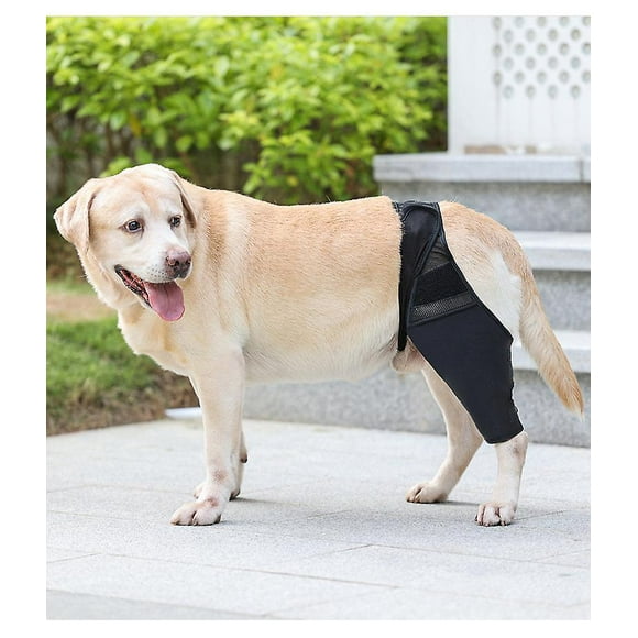 Extra Support Dog Knee Brace for ACL, Knee Dislocation, and Arthritis - Provides Warmth and Reduces Pain and Inflammation - XL