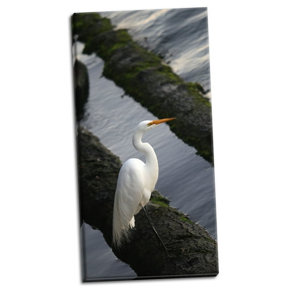 Gango Home Decor Contemporary White Crane by Ike Leahy (Ready to Hang); One 18x36in Hand-Stretched Canvas