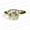 Rose Gold Plated, variant on . 2 CT Asscher Cut Moissanite Diamond Ring Easy Breezy Bezels Solitaire Jewelry Elegant Engagement or Valentine's Day Gift