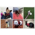 thumbnail image 6 of Walbest Hamster Clothes Harness and Leash Soft Mesh Small Pet Harness Comfort Padded Vest for Ferret, Guinea Pigs, Chinchilla or Similar Small Animals (Red, S), 6 of 7