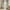 Black White Brown, variant on Western 30%-50% Blackout Curtains 42"Wx84"L Brown Rustic Boho Aztec Window Curtains,Country Cabin Lodge Curtains & Drapes Adults Men Southwestern Tribal Curtains 2 Panels