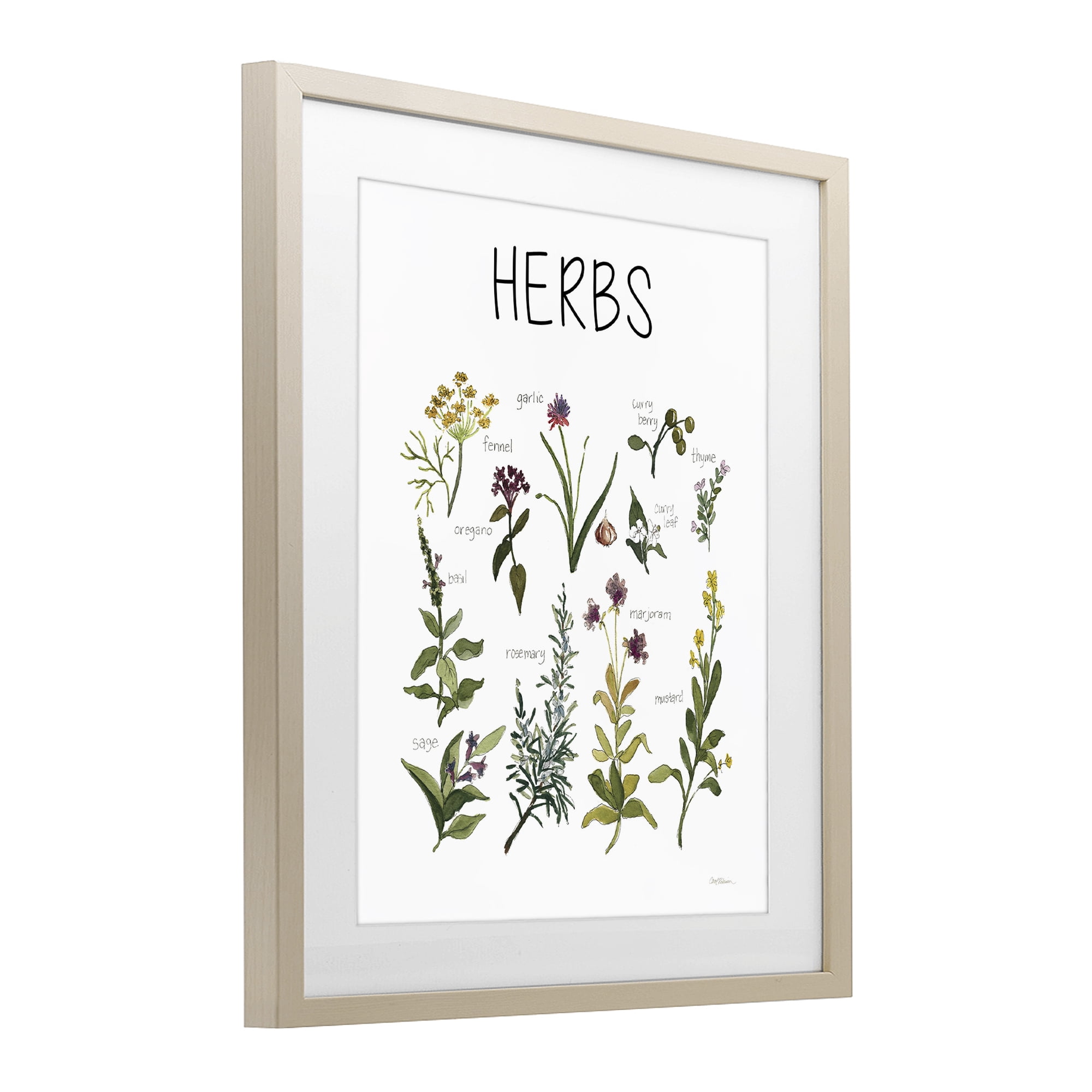 Stupell Industries Herbs Identification Chart Birch Framed Print Under Glass, design by Carol Robinson