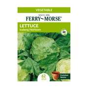 Ferry-Morse 45MG Lettuce Iceberg Heirloom Vegetable Plant Seeds Packet
