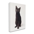 thumbnail image 3 of Stupell Industries Cute Black Cat Expressive Eyes Pet Portrait,30 x 40,Designed by Marika Moffit, 3 of 5