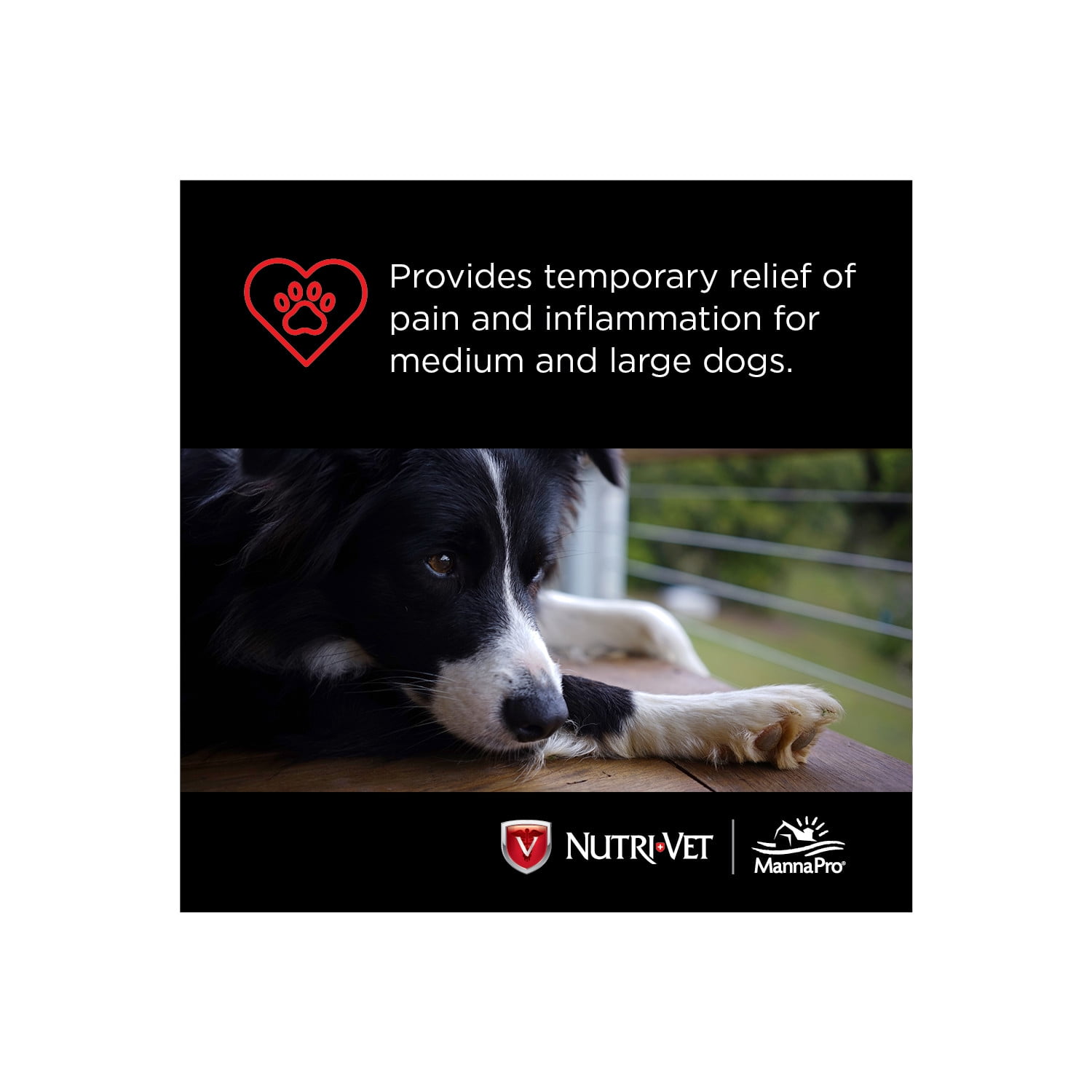Nutri-Vet Aspirin for Dogs - Medium to Large Dogs - 300mg - 75 count