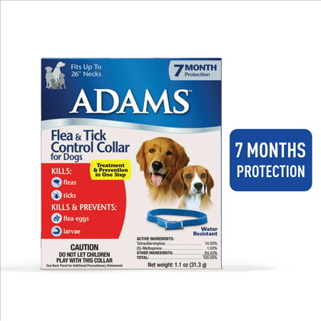 Adams Flea and Tick Collar for Dogs Blue 1 Pack (The Best Flea Collar For Dogs)