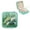 Green, variant on Turtle Grass Plants Jewelry Storage Box for Necklaces Rings Earrings Green