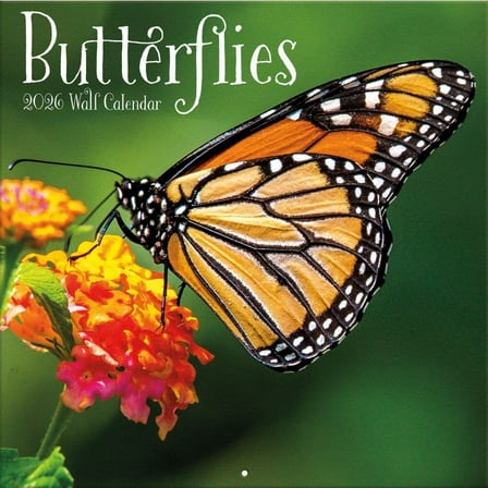 Turner Licensing, Butterflies Photo 2026 Wall Calendar, 12'' X 12'', 12-Month Calendar with Stapled Binding