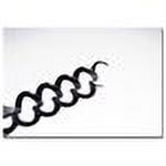 Trademark Fine Art "Corkscrew" Canvas Art by Tammy Davison