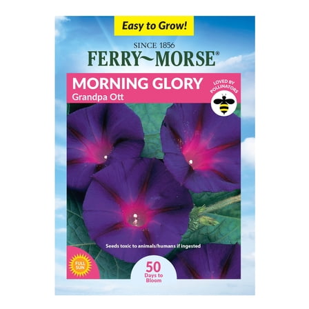 Ferry-Morse 750MG Morning Glory Grandpa Ott Annual Flower Seeds, Full Sun