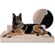 thumbnail image 1 of Sofá Cama Ortopédica ESQUIMAL Champagne Extra Grande para Perros y Mascotas con Funda Lavable, 1 of 6