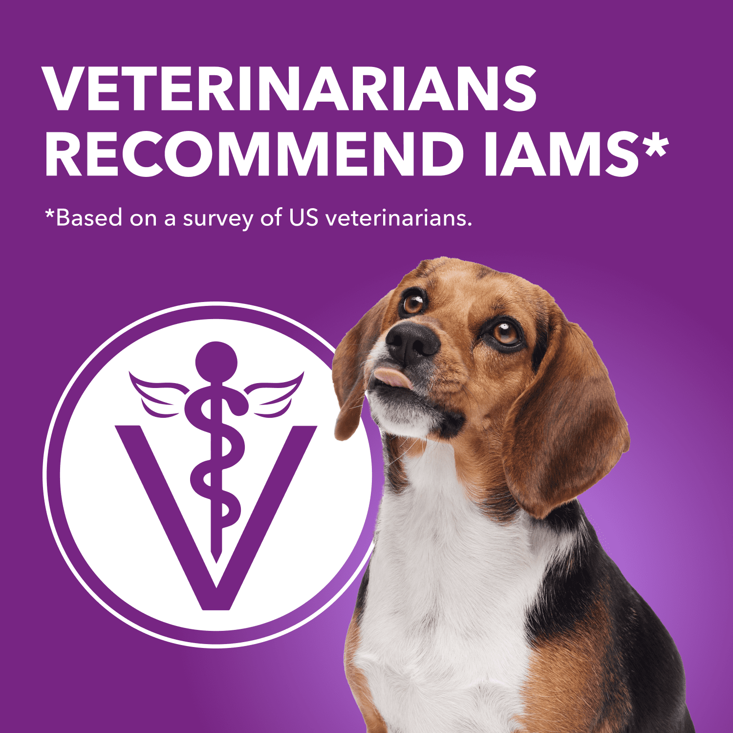 Iams Advanced Health Skin & Coat Chicken & Salmon Adult Dry Dog Food 10kg