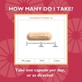 thumbnail image 4 of Celebrate Vitamins CelebrateONE 18 Once Daily Bariatric Multivitamin with Iron Capsules, 18 mg of Iron, 90 count, 4 of 5