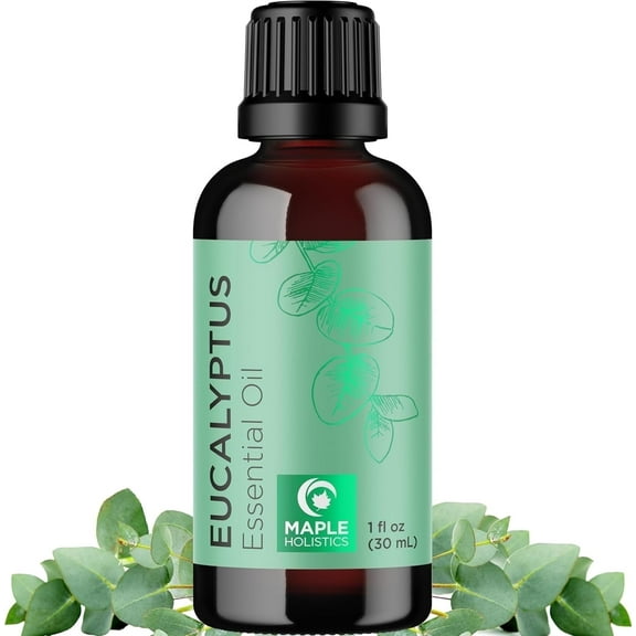 Maple Holistics Eucalyptus Essential Oil for Aromatherapy, 1 Fl Oz