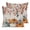 Orange Beige Blue, variant on Pillow Covers 16x16 Set of 2, Pumpkins Fall Throw Pillow Covers Decorative Couch Cushion Cover, Thanksgiving Eucalyptus Leaves Farmhouse Microfiber Soft Square Pillowcases for Bedroom Living Room