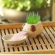 thumbnail image 4 of 2024 Mini Self-Suction Ceramic Flower Pots with Tray for Succulents Cactus Flower Pots Decoration for Home, Office, Indoor Puppy, 4 of 4