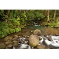thumbnail image 2 of Flaherty, Dennis 32x23 White Modern Wood Framed Museum Art Print Titled - Hawaii, Kauai Creek flowing from a rainforest, 2 of 4