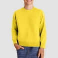 thumbnail image 2 of Yindaity Boys Sweaters Kids Crewneck Long Sleeve Knit Pullover Sweater (Yellow,3 Years), 2 of 5