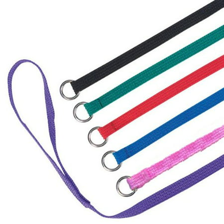 Slip Leads, Kennel Leads with O Ring for Dog Pet Animal Control Grooming, Shelter, Rescues, Vet, Veterinarian, Doggy Daycare - 4 foot Length x 1/2 inch Width, by Downtown Pet